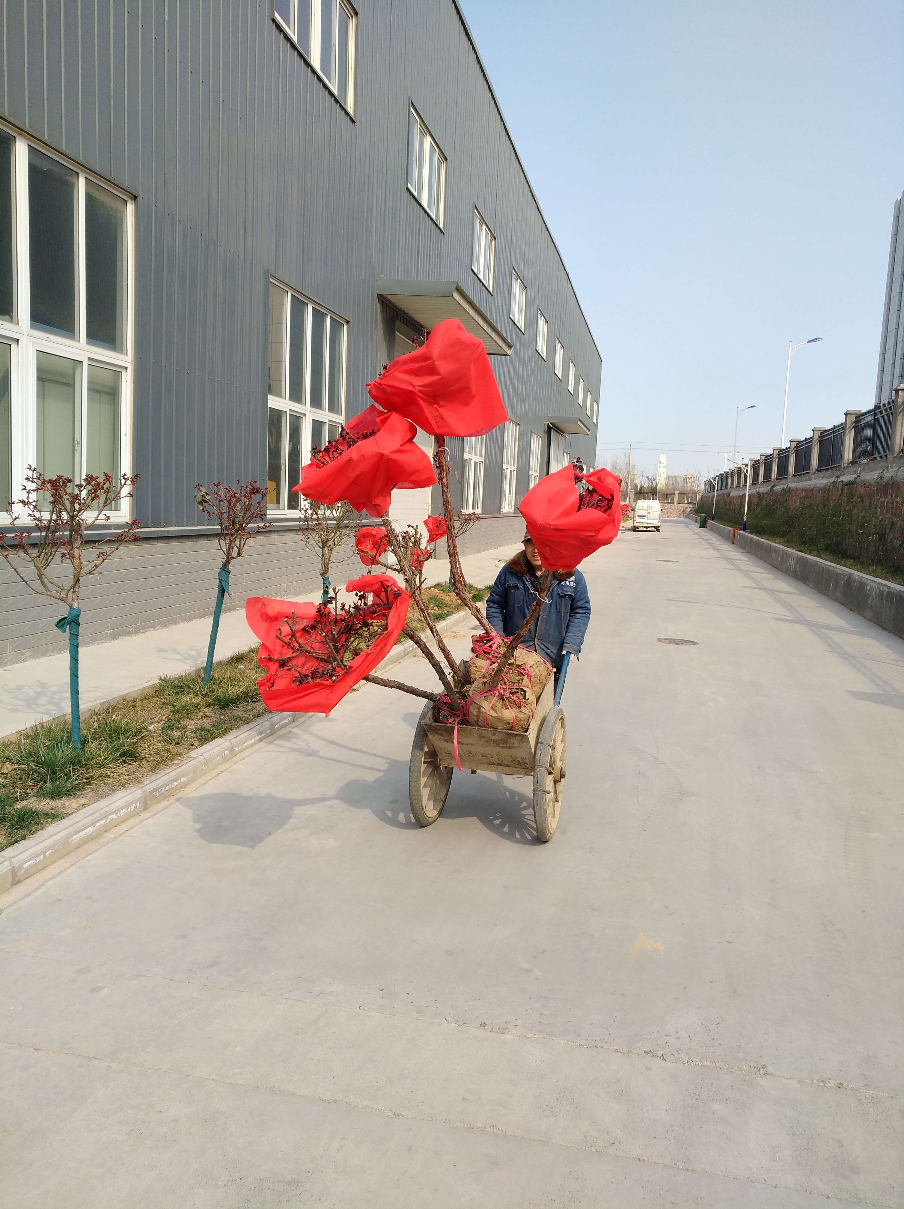 河南路友 XK.COM星空体育(中国)科技公司总代理